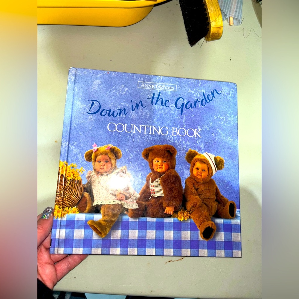 COUNTING BOOK 1996